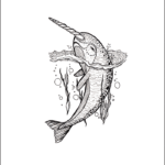 narwhal-email