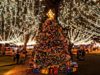 St. Augustine’s Nights of Lights will begin earlier this year in 2020