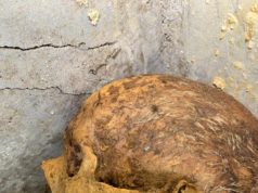 Mummified human remains discovered at Pompeii