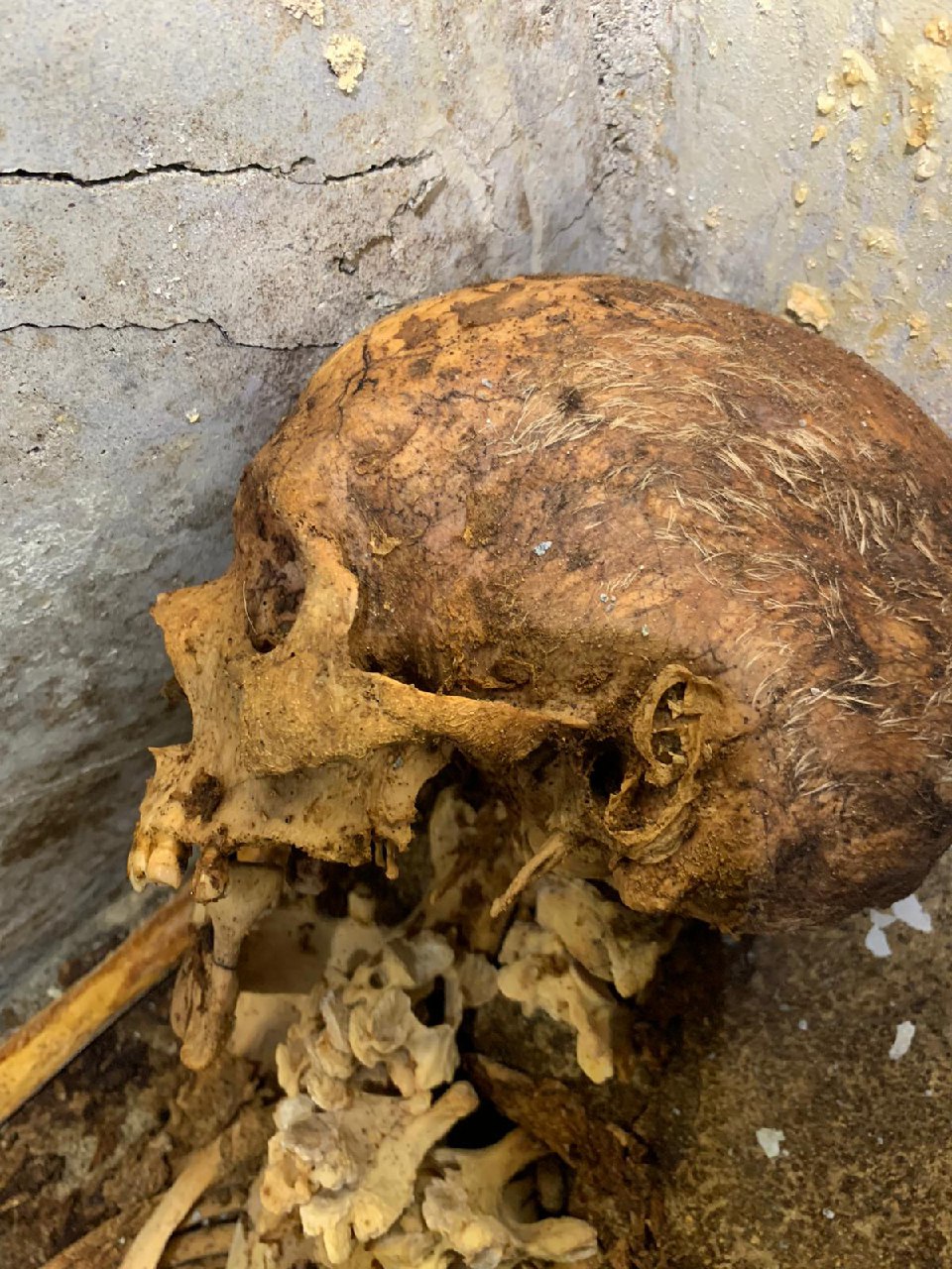 Mummified human remains discovered at Pompeii
