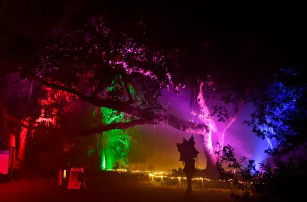 Dazzling Nights - Jacksonville Arboretum & Botanical Gardens - 2021
