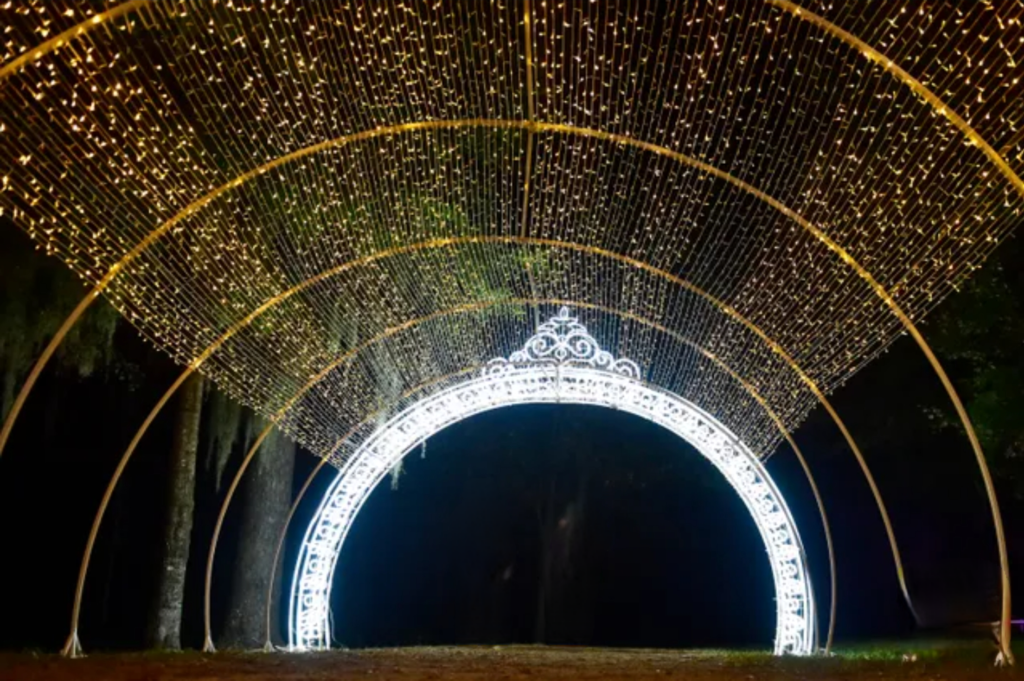 Dazzling Nights - Jacksonville Arboretum & Botanical Gardens - 2021