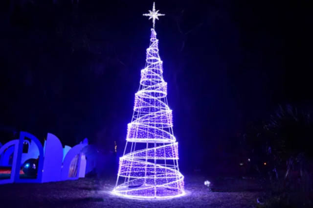 Dazzling Nights – Jacksonville Arboretum & Botanical Gardens – 2021
