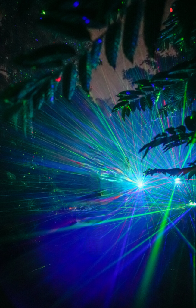 Dazzling Nights - Jacksonville Arboretum & Botanical Gardens - 2021