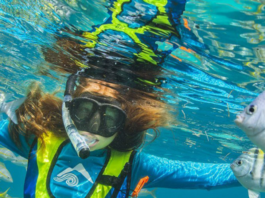 Tridence Case Study | The Florida Keys | Geomarketing — Tridence Blog Jacksonville and Chicago digital marketing agency