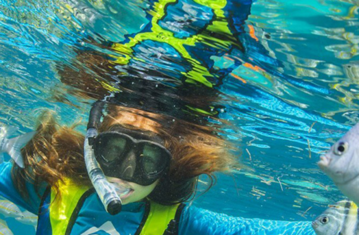 Tridence Case Study | The Florida Keys | Geomarketing — Tridence Blog Jacksonville and Chicago digital marketing agency
