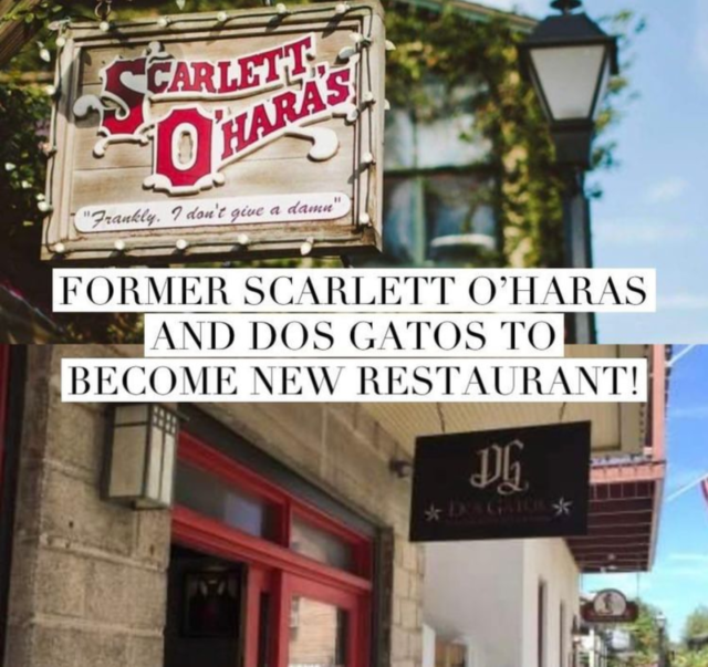 Jacksonville Restauranteur buys historic businesses Jacksonville Restauranteur buys historic businesses — Tridence Blog Jacksonville and Chicago digital marketing agency