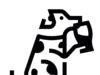 Bark Social – Case Study