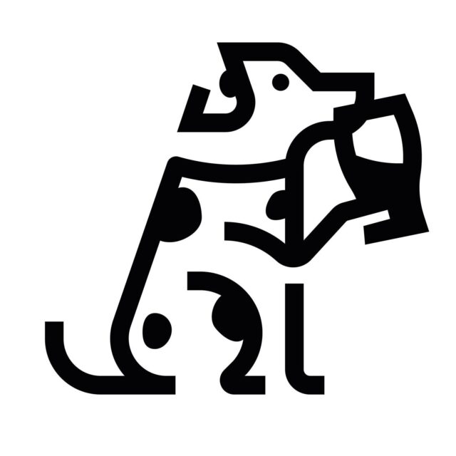 Bark Social – Case Study