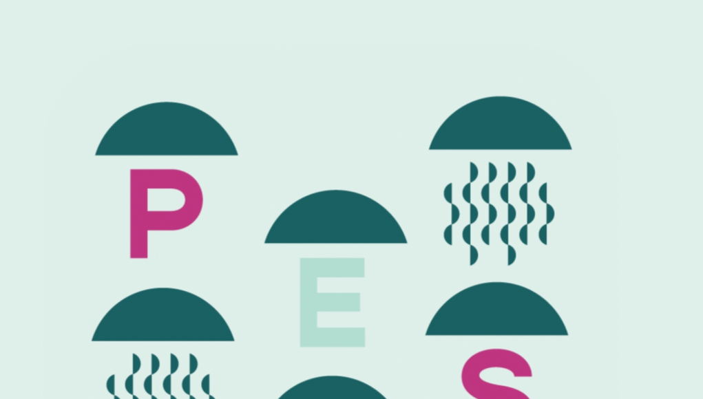 Pesca