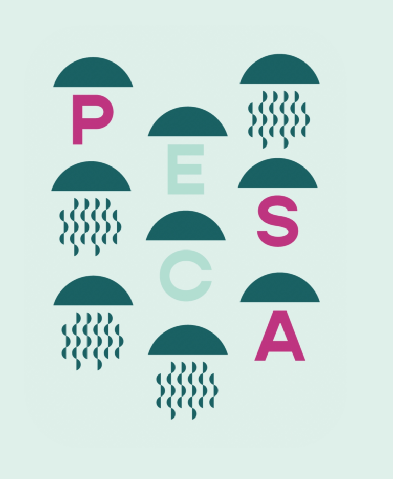 Pesca By Michael’s – Rooftop Bar Dining on Vilano Beach