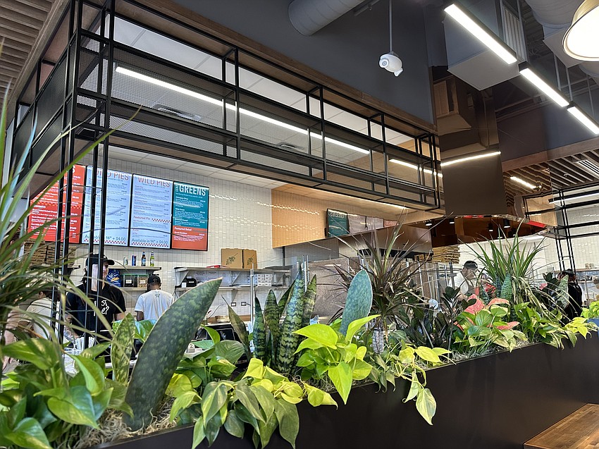 Unleashing Plant-Based Delights: The Emergence of Wild Pie in Jacksonville