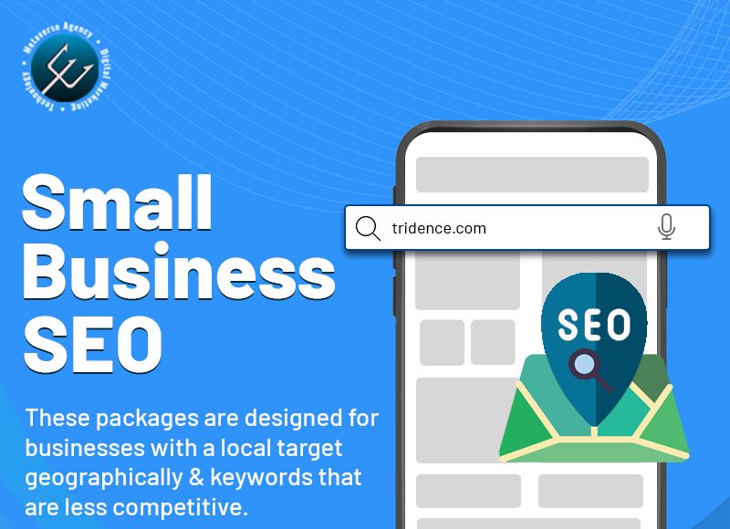 Small-Business-seo-tridence