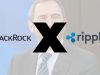 BlackRock and XRP: Examining the Reported $9 Trillion Investment Claim image 1 13 1024×576 — Tridence Blog Jacksonville and Chicago digital marketing agency