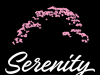 Serenity Restaurant & Hookah Lounge: A New Fusion Dining Experience in Jacksonville Beach