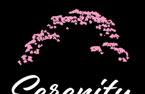 Serenity Restaurant & Hookah Lounge: A New Fusion Dining Experience in Jacksonville Beach