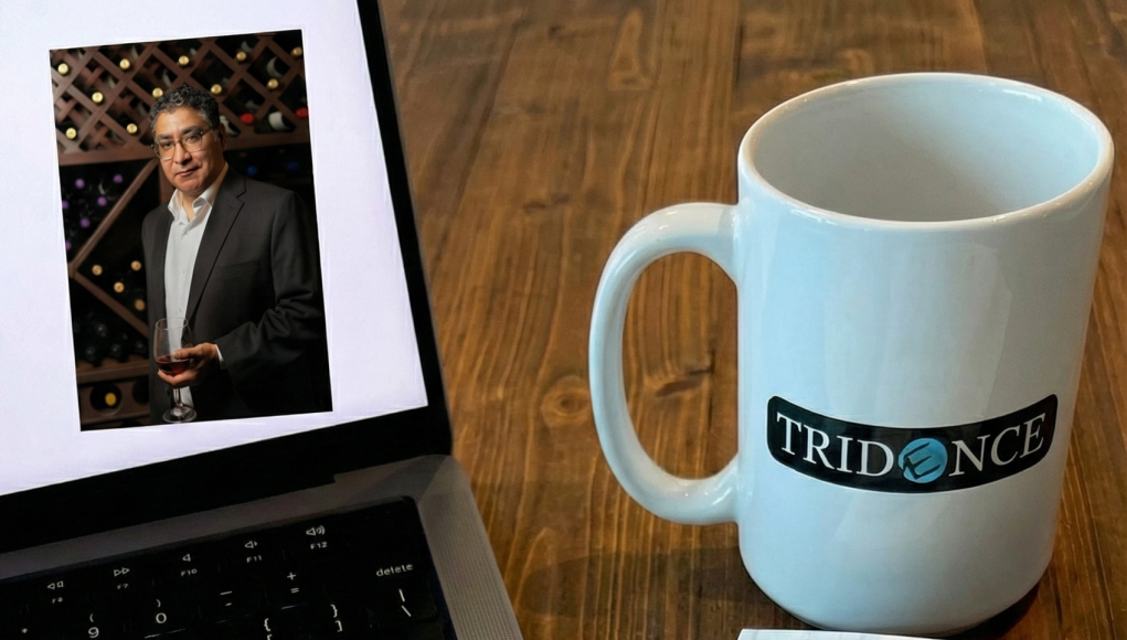 1766084539537 Tridence Blog Jacksonville and Chicago digital marketing agency — AI search, SEO 3.0 and brand strategy insights