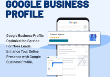Google Business Profile Management